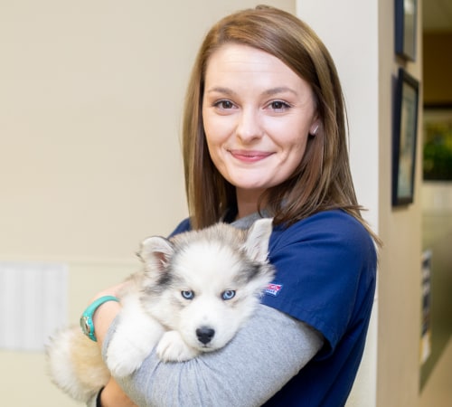 Pet Emergency, Carolina Veterinary Specialists in Winston-Salem