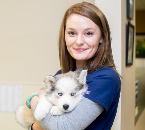 Pet Emergency, Carolina Veterinary Specialists in Winston-Salem
