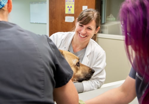 Neurology Service | Carolina Veterinary Specialists | Vet in Winston-Salem | Serving the Winston-Salem